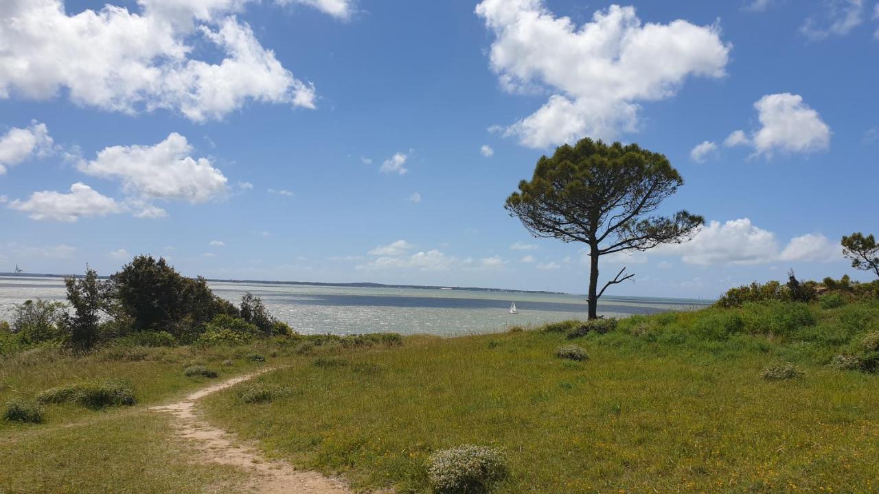 Appartement A 300M De La Plage Saint-Georges-de-Didonne Zewnętrze zdjęcie